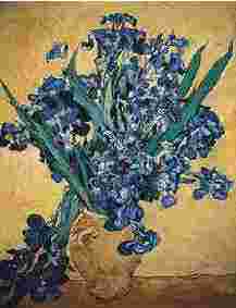 Still Life with Irises